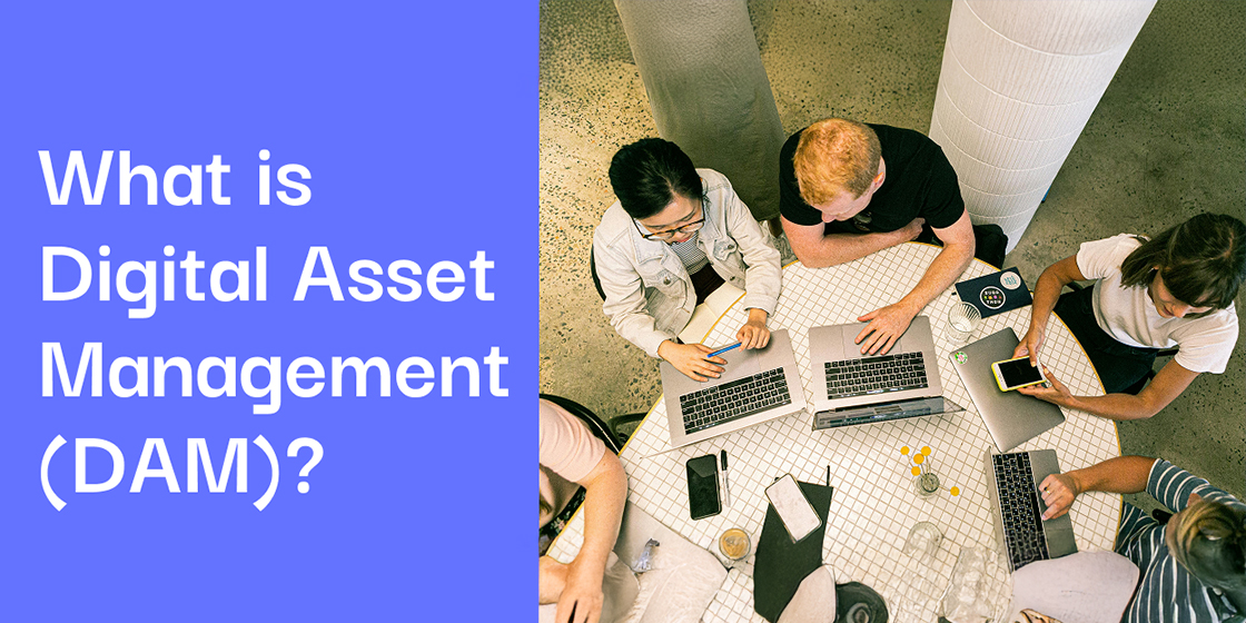 What is Digital Asset Management (DAM) ?